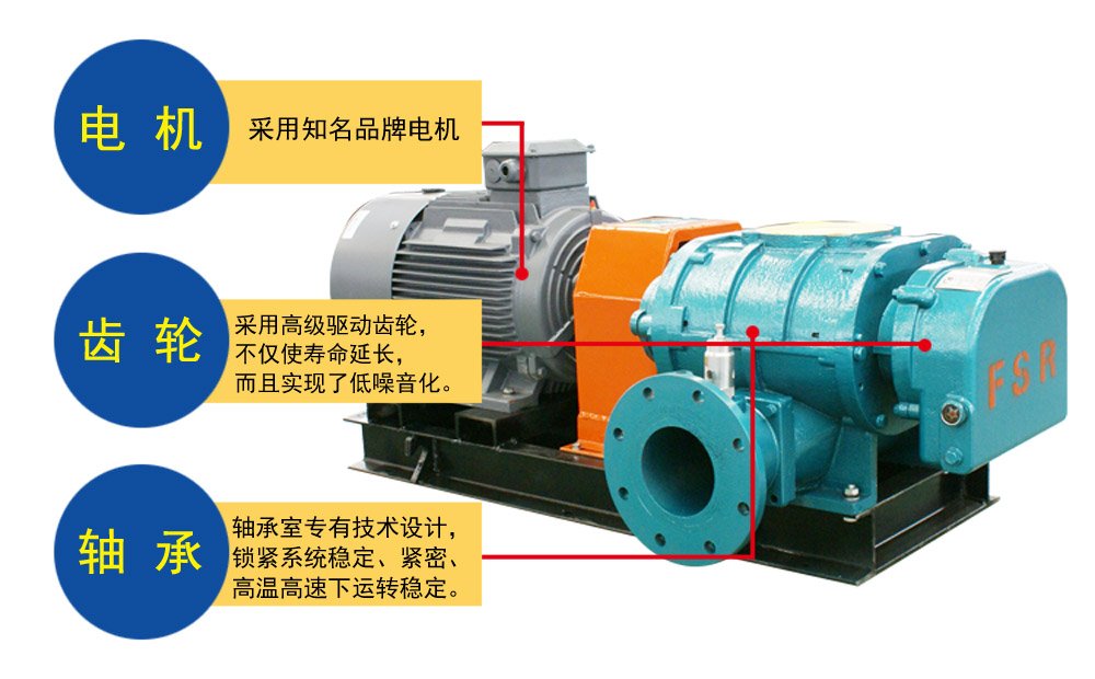 FSR直連羅茨鼓風(fēng)機(jī)