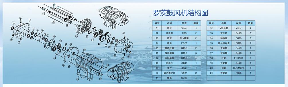 羅茨鼓風機結構圖.jpg