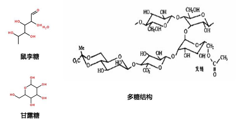 產品分子鏈.jpg