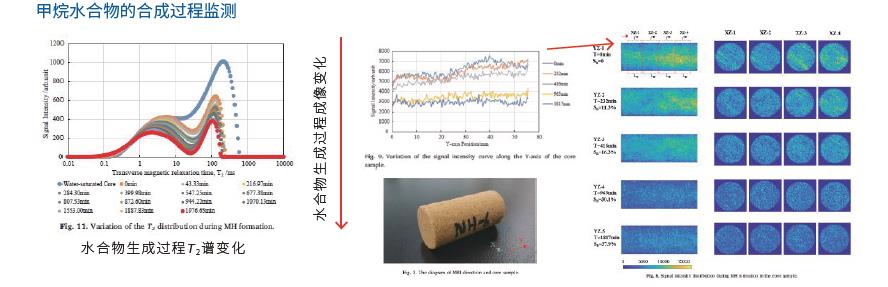 低溫高壓核磁共振成像分析儀-定制產品