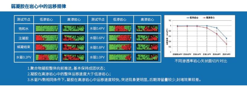 高溫高壓核磁共振成像分析儀-定制產品