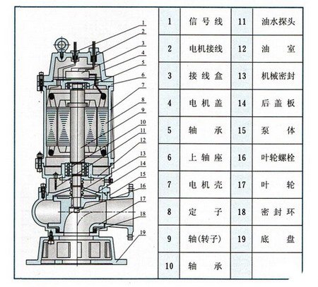 QWP不銹鋼潛水泵結構圖